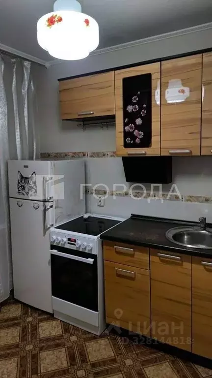 1-к кв. Новосибирская область, Новосибирск ул. Пермитина, 10 (30.0 м) - Фото 1