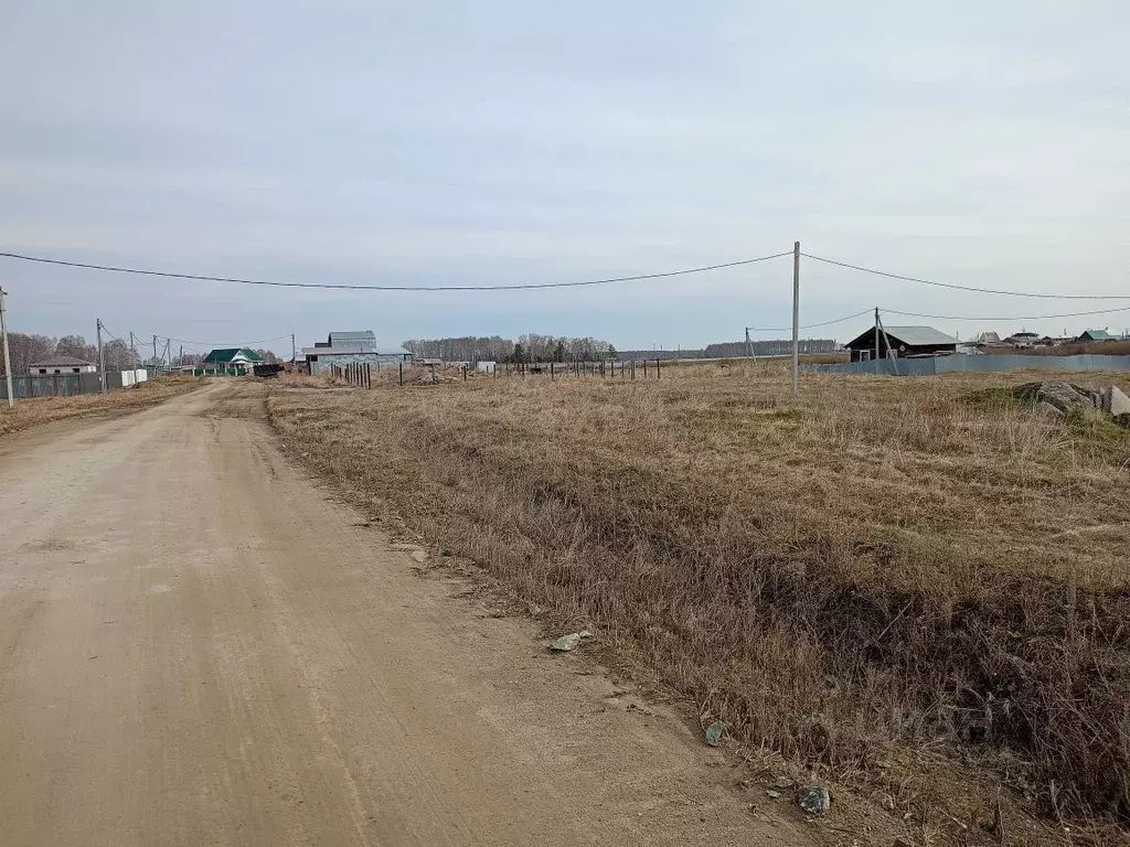 Участок в Челябинская область, Сосновский район, Долгодеревенское ... - Фото 1