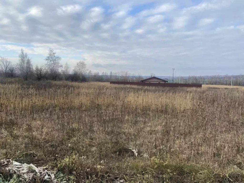 Участок в Московская область, Серебряные Пруды муниципальный округ, с. ... - Фото 1