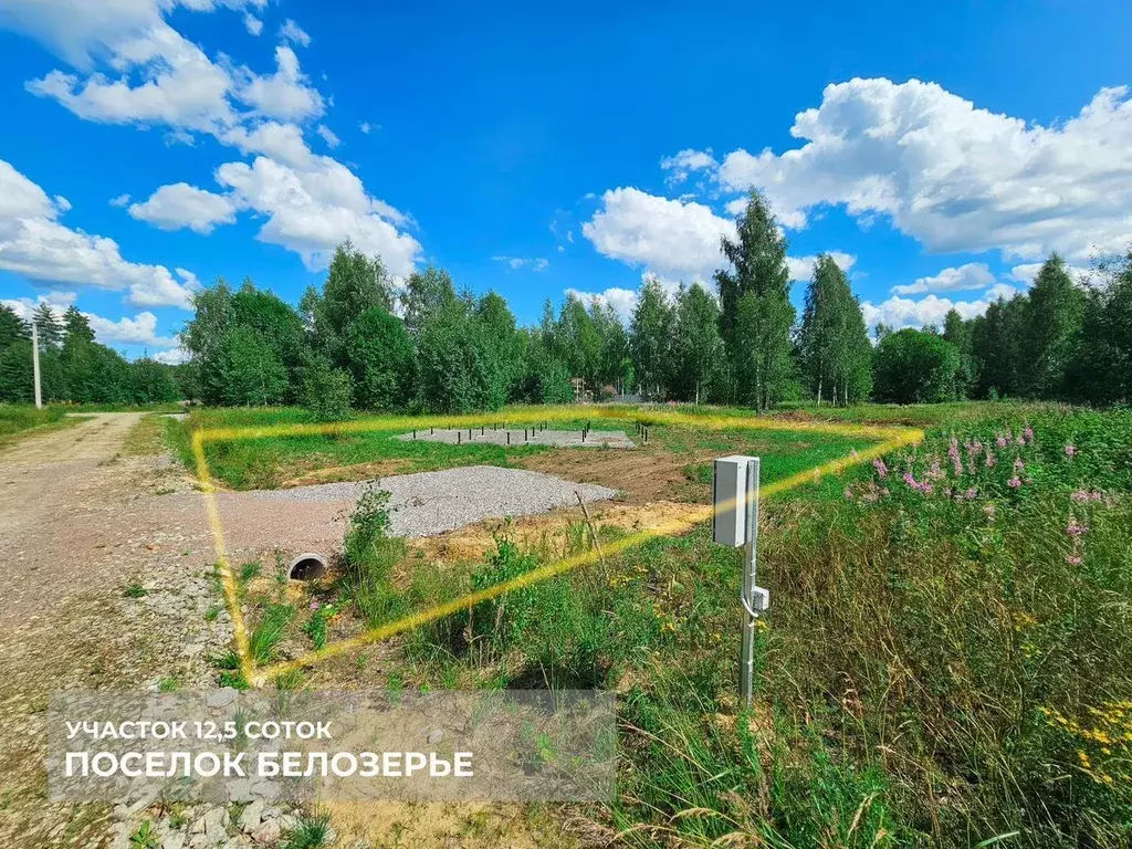 Участок в Ленинградская область, Тосненский район, Любанское городское ... - Фото 1