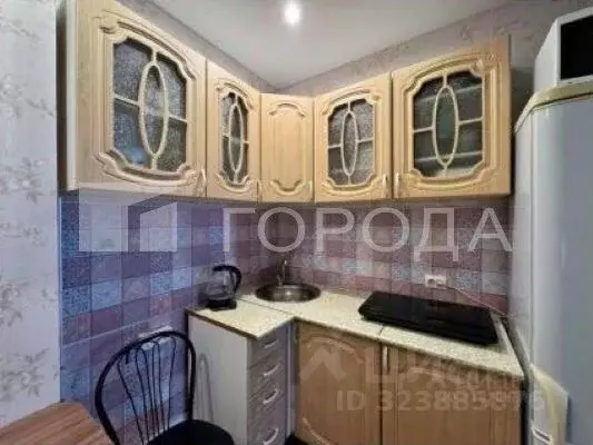 Студия Новосибирская область, Новосибирск ул. Виктора Уса, 7 (29.0 м) - Фото 1