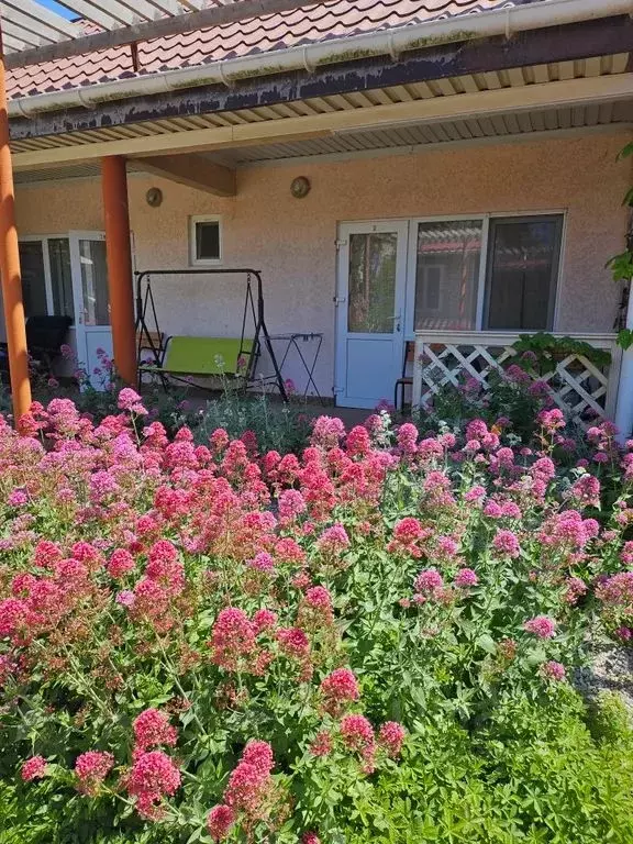 Комната Крым, Черноморское пгт ул. Жердева, 42 - Фото 0