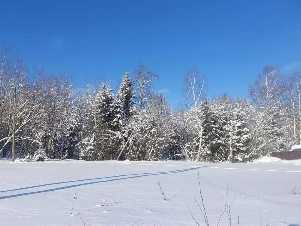 Участок в Московская область, Клин городской округ, д. Степаньково 6 ... - Фото 1