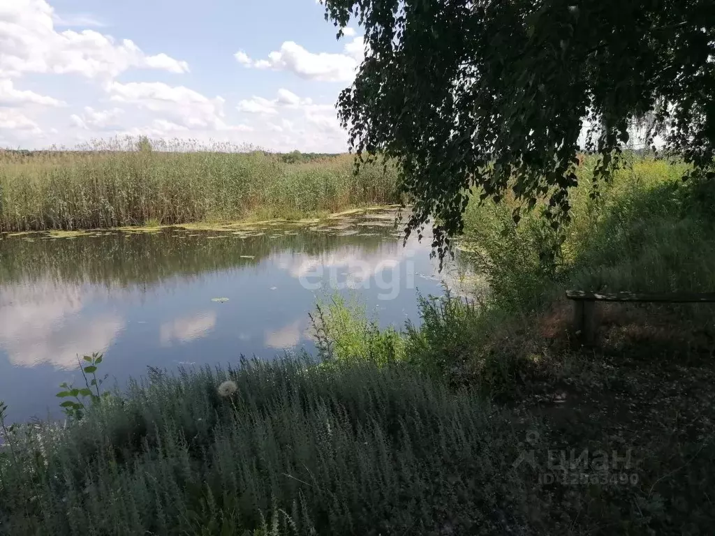 Участок в Воронежская область, Бобровский район, с. Верхний Икорец .,  Купить земельный участок Верхний Икорец, Бобровский район, ID объекта -  20005542970