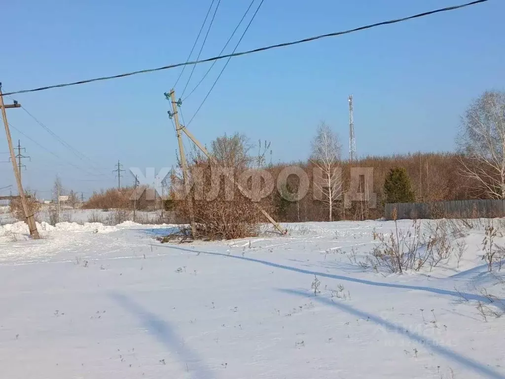 Участок в Новосибирская область, Колывань рп ул. Соловьева (11.67 ... - Фото 1