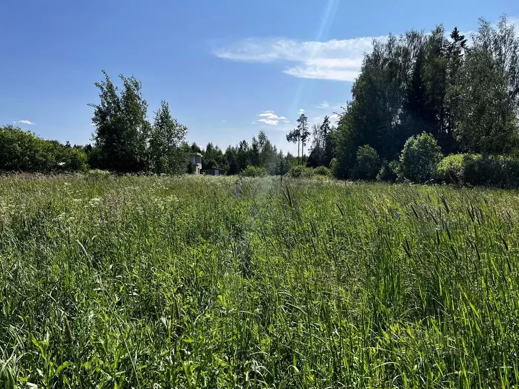 Участок в Московская область, Клин городской округ, Акатово парк кп  ... - Фото 1