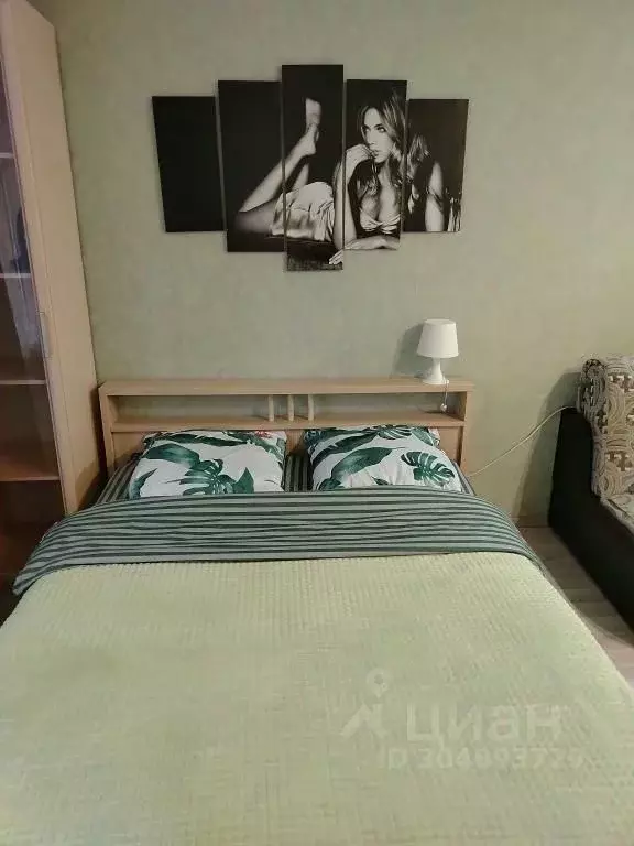 1-к кв. Московская область, Ногинск Богородский городской округ, ул. ... - Фото 1