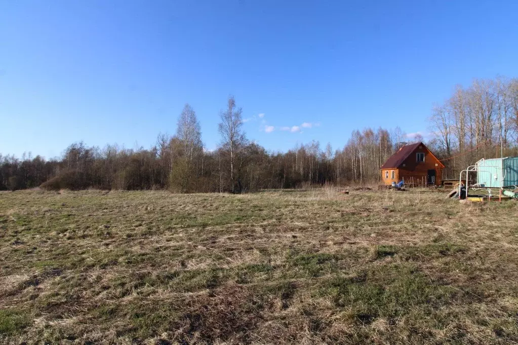 Участок в Ленинградская область, Выборгский район, Каменногорское ... - Фото 1