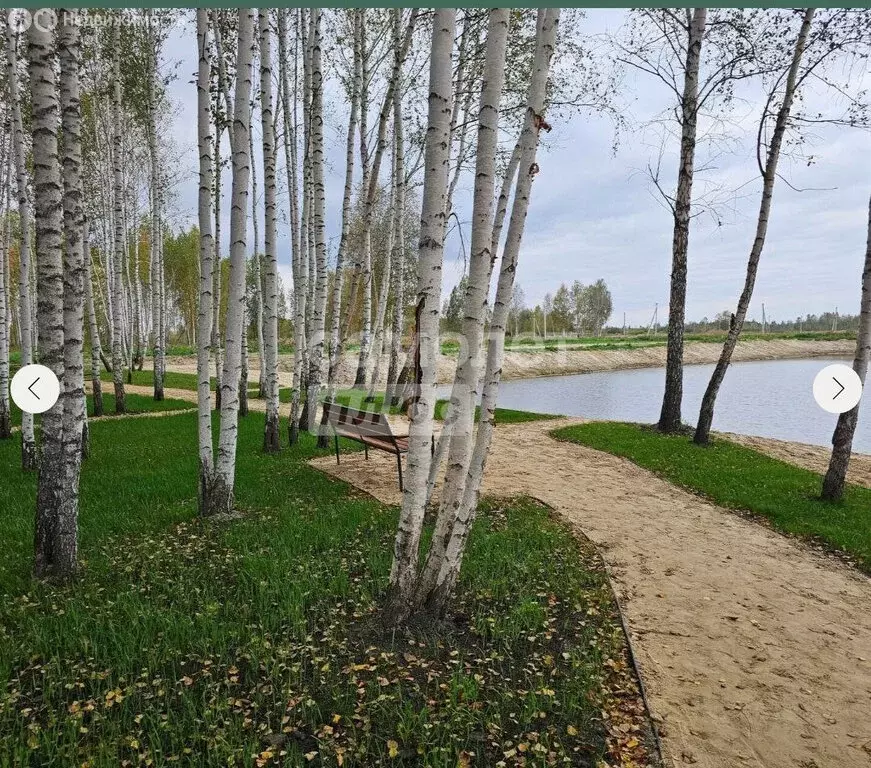 Участок в Тюменский муниципальный округ, деревня Решетникова (8 м) - Фото 0