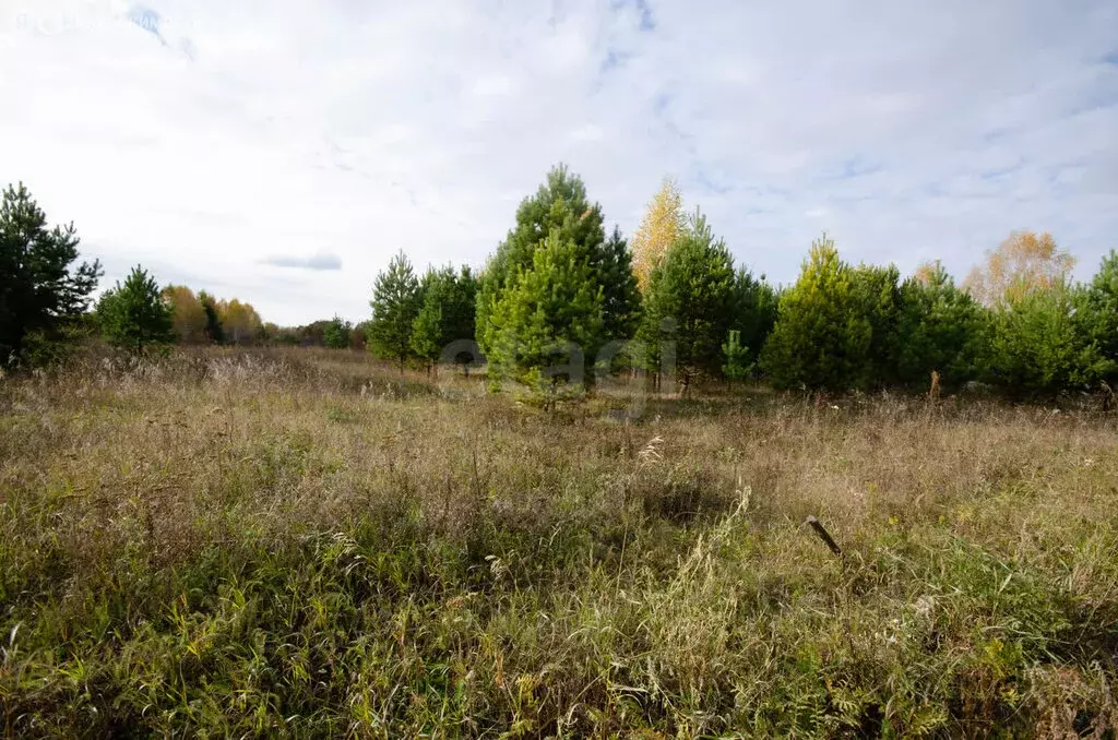 Участок в Заводоуковск, СНТ Раздолье (15 м) - Фото 2