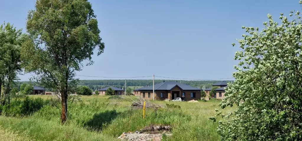 Участок в Татарстан, Лаишевский район, с. Сокуры  (10.0 сот.) - Фото 1
