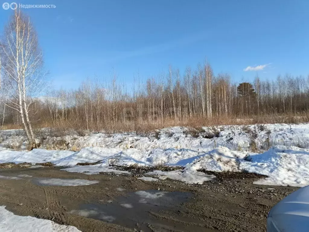 Участок в Тюменский муниципальный округ, СНТ Маяк, Фруктовая улица (8 ... - Фото 2