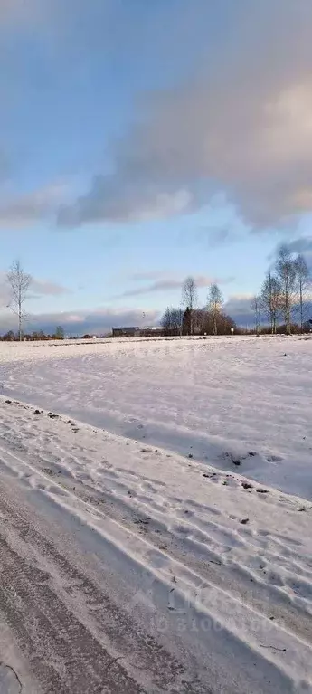 Участок в Пермский край, Добрянский городской округ, д. Залесная  (9.0 ... - Фото 1