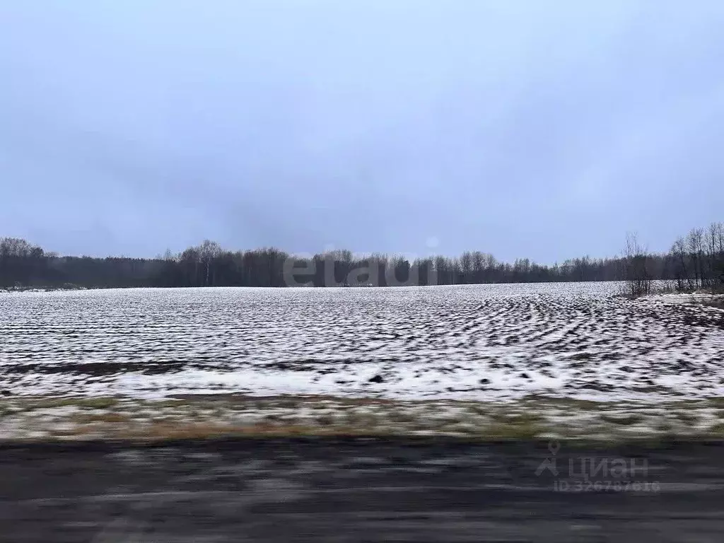 Участок в Ярославская область, Ярославский муниципальный округ, ... - Фото 2