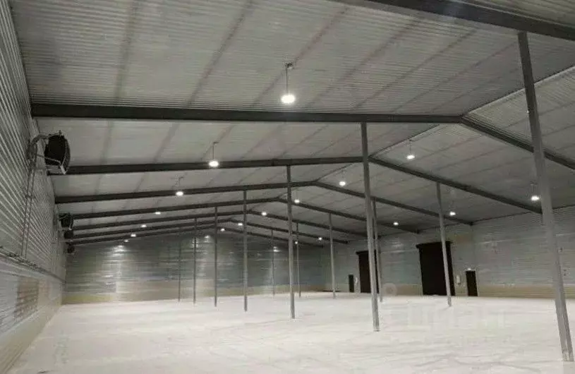 Склад в Ленинградская область, Тельмана Тосненский район, ул. ... - Фото 2