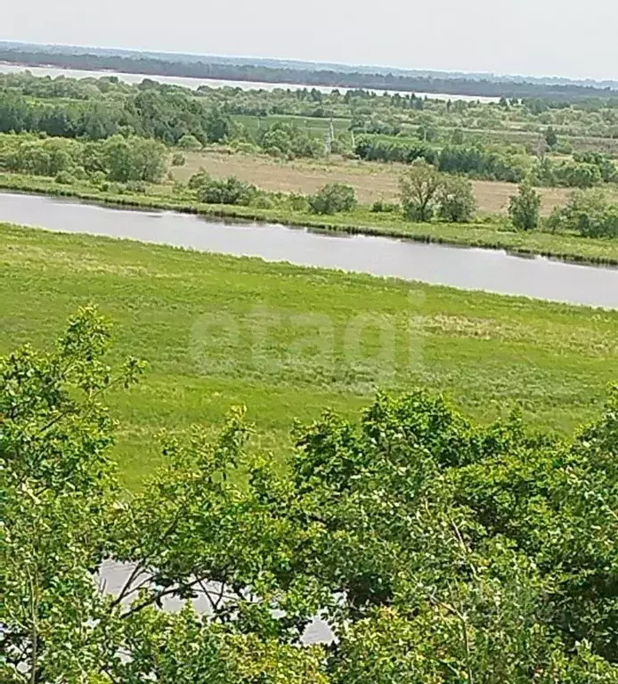 Участок в Амурская область, Благовещенский район, Луч СТ  (2560.0 ... - Фото 1