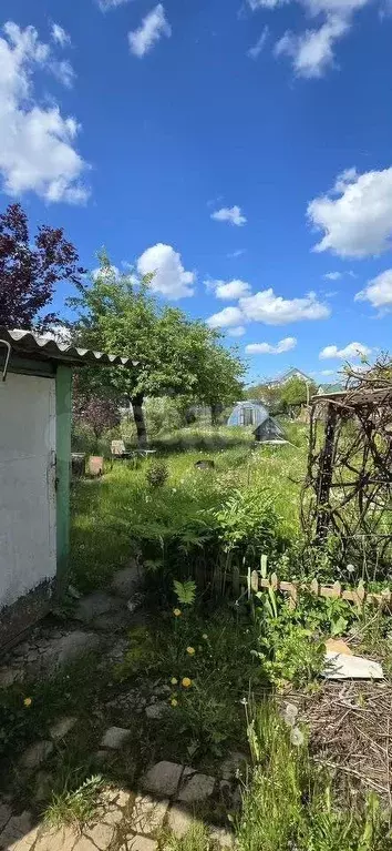Участок 3,4 сот. (СНТ, ДНП) - Фото 0