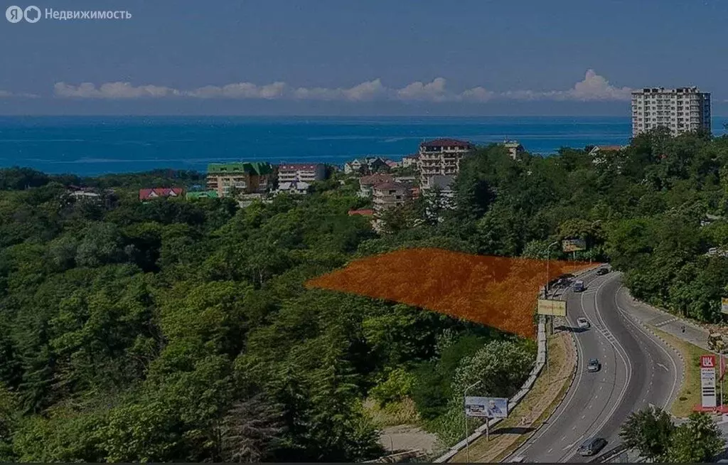 Участок в Сочи, Виноградная улица (45 м) - Фото 2