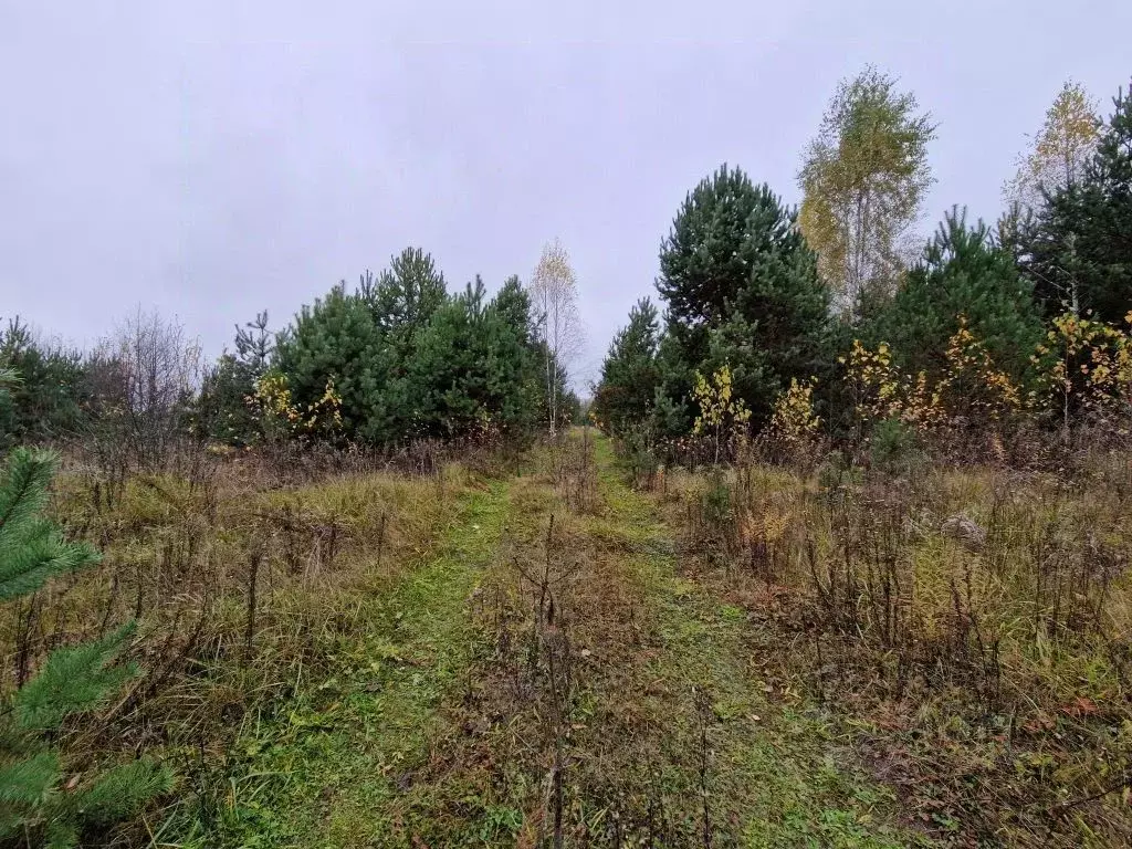Участок в Владимирская область, Владимир д. Уварово, ул. Центральная ... - Фото 1