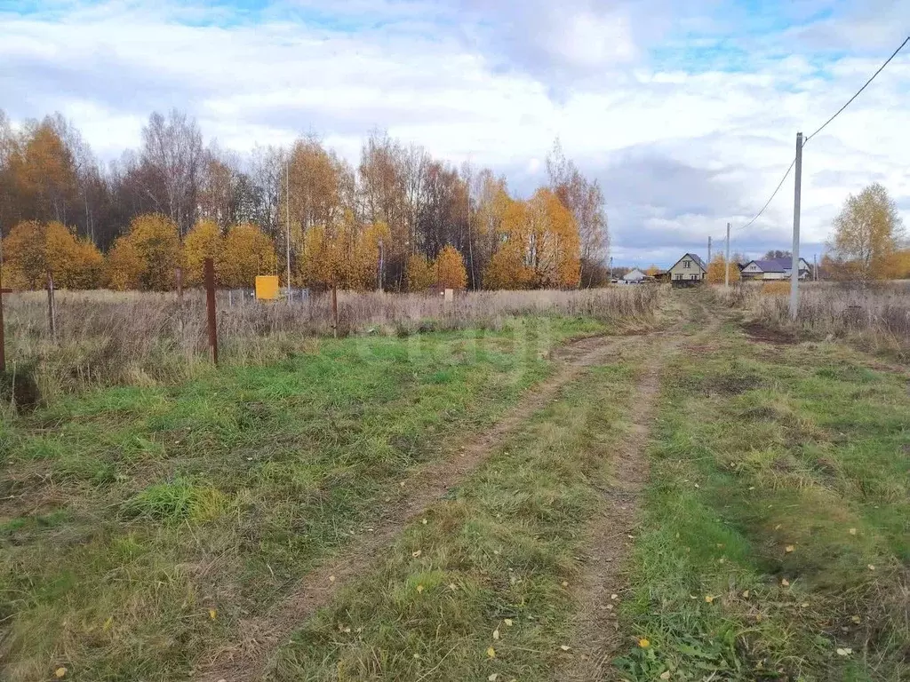 Участок в Костромская область, Нерехтский район, Волжское с/пос, д. ... - Фото 1