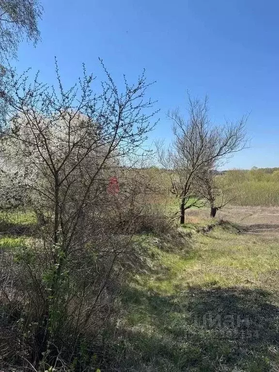 Участок в Белгородская область, Белгородский муниципальный округ, с. ... - Фото 1