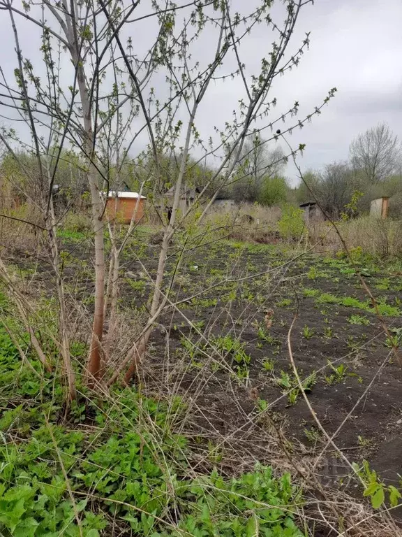Участок в Пермский край, Кунгур пл. Соборная (4.2 сот.) - Фото 0