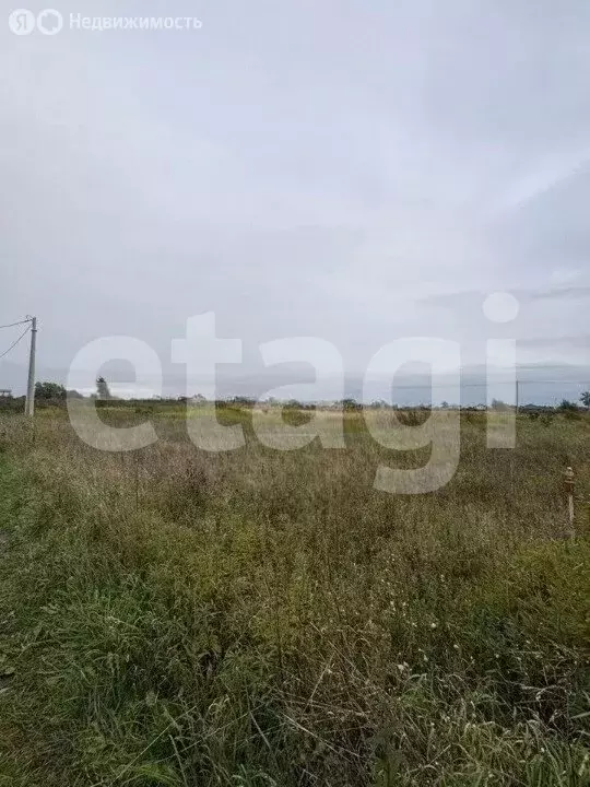 Участок в Калининградская область, Гурьевский муниципальный округ, ... - Фото 1