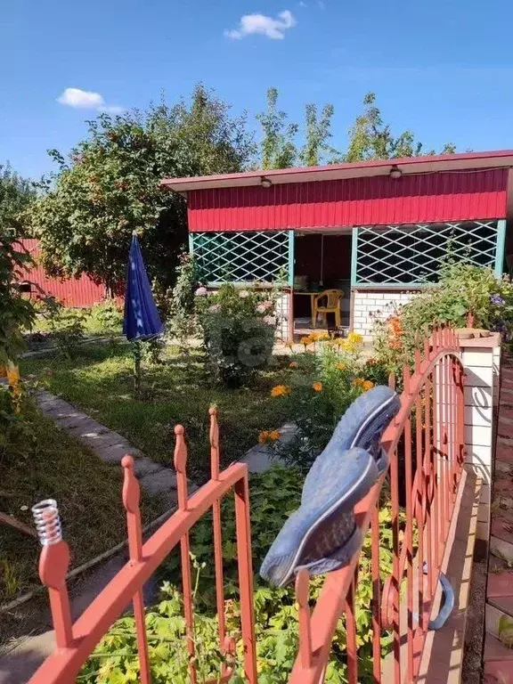 Дом в Курская область, Поныри муниципальное образование, Поныри рп ул. ... - Фото 1