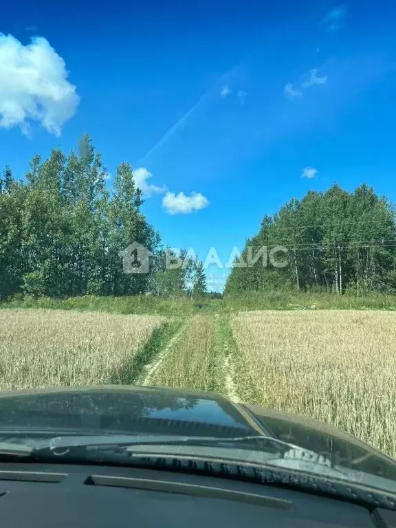 Участок в Вологодская область, Шекснинский район, Ершовское с/пос, д. ... - Фото 0