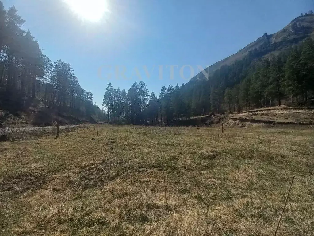 Участок в Алтай, Майминский район, с. Манжерок Ленинская ул. (10.0 ... - Фото 1