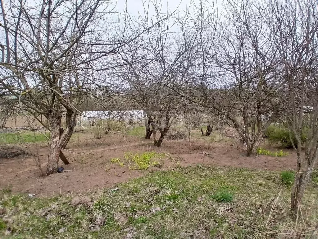 Участок в село Колчаново, Новая улица (13 м) - Фото 2