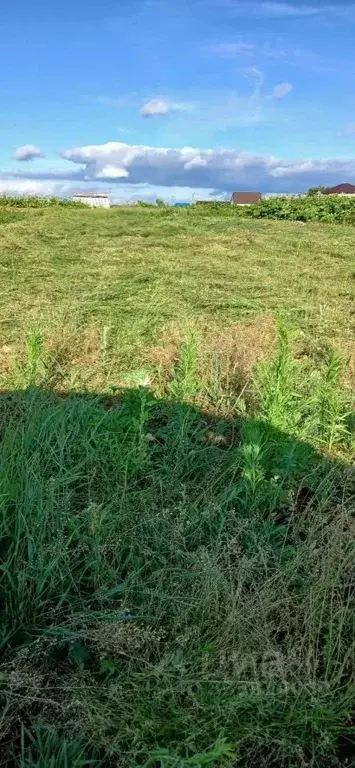 Участок в Ленинградская область, Волосовский район, д. Большая Вруда ... - Фото 1