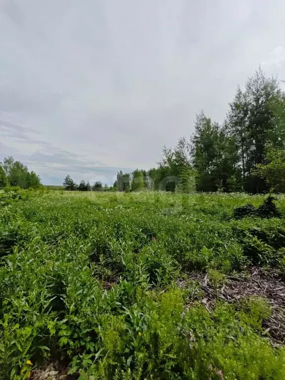 Участок в Тверская область, Калининский муниципальный округ, д. ... - Фото 1