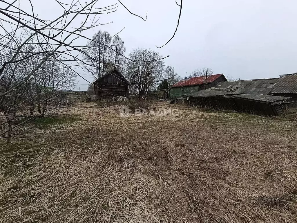 Участок в Владимирская область, Ковровский муниципальный округ, с. ... - Фото 2