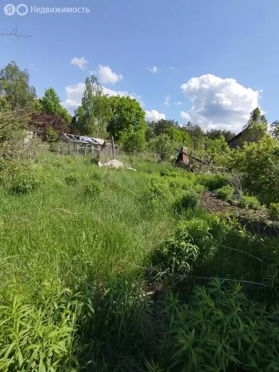 Участок в Брянск, СО Рассвет (7 м) - Фото 1