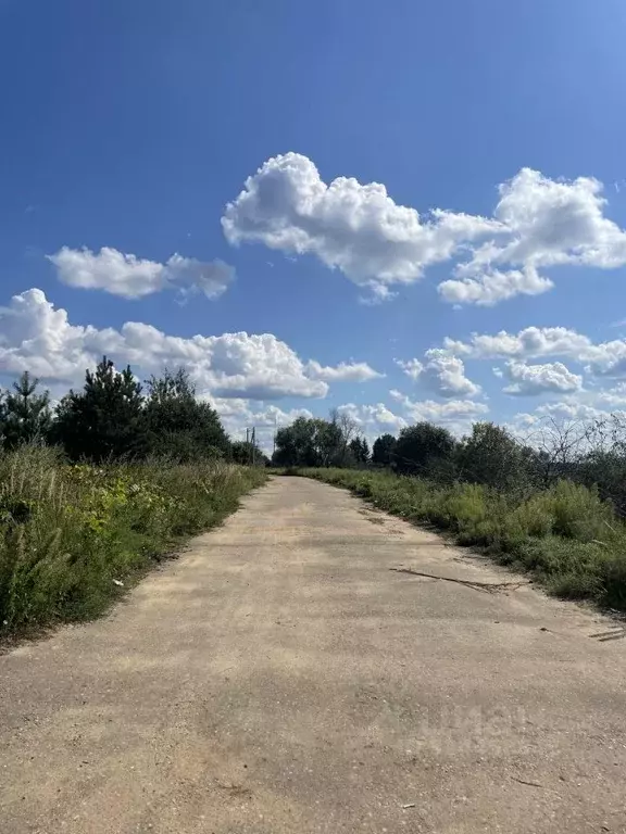 Участок в Московская область, Истра муниципальный округ, д. Лечищево 2 ... - Фото 2