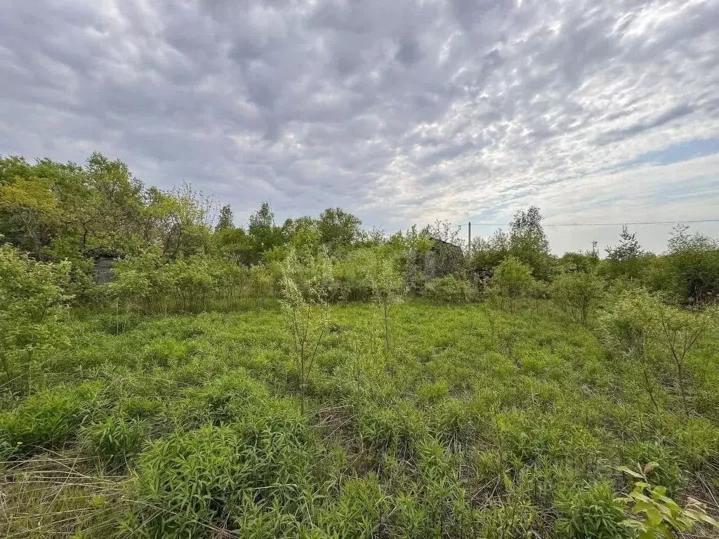 Участок в Хабаровский край, Хабаровский район, Мичуринское с/пос, с. ... - Фото 2