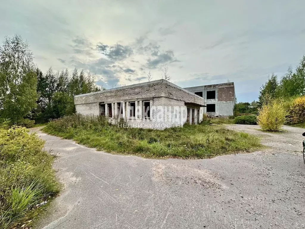 Помещение свободного назначения в Ленинградская область, Приозерский ... - Фото 0