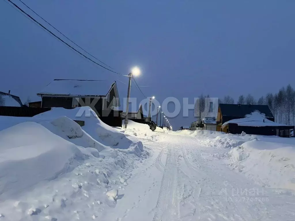 Участок в Новосибирская область, Новосибирский район, Каменский ... - Фото 2