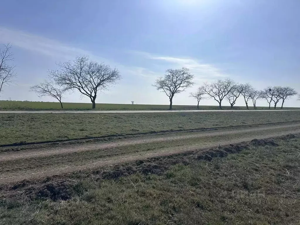 Участок в Крым, Сакский район, с. Молочное ул. Садовая (1100.0 сот.) - Фото 1