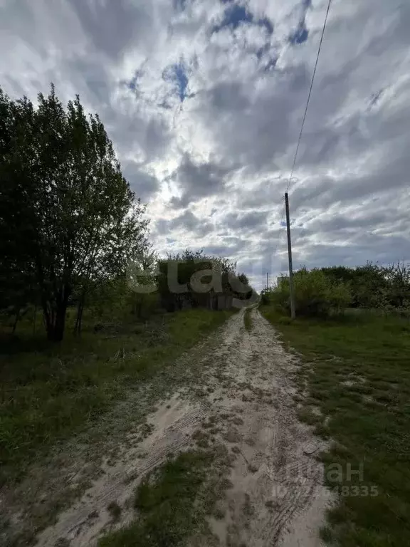 Участок в Брянская область, Брянский район, Мичуринское с/пос, ... - Фото 1