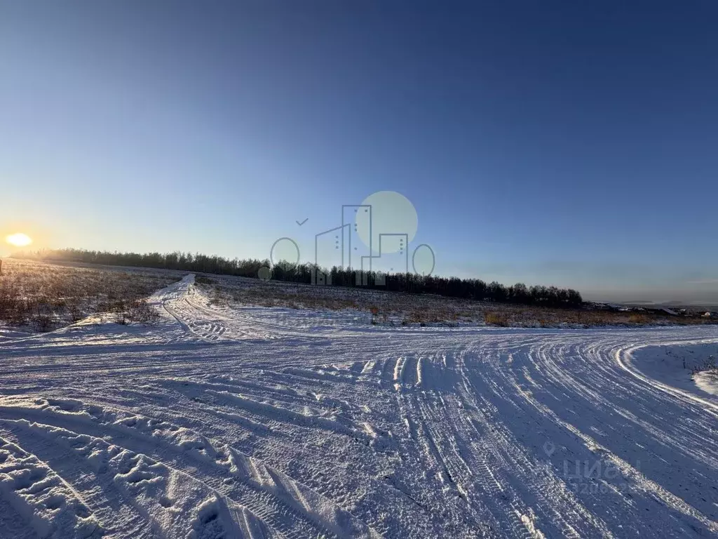 Участок в Иркутская область, Иркутский муниципальный округ, д. ... - Фото 2