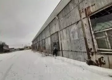 Производственное помещение в Астраханская область, Приволжский район, ... - Фото 1