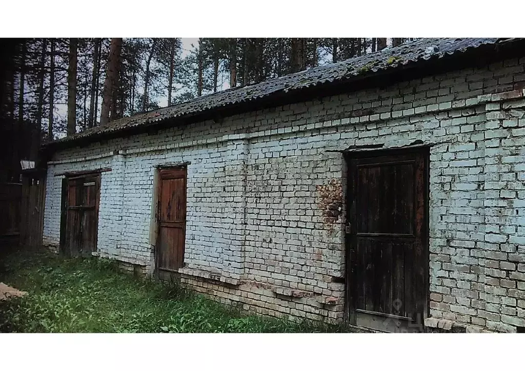 Помещение свободного назначения в Коми, Ухта муниципальный округ, ... - Фото 0