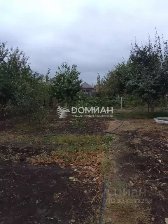 Участок в Ростовская область, Новочеркасск Виноградная Лоза СНТ, 363 ... - Фото 1