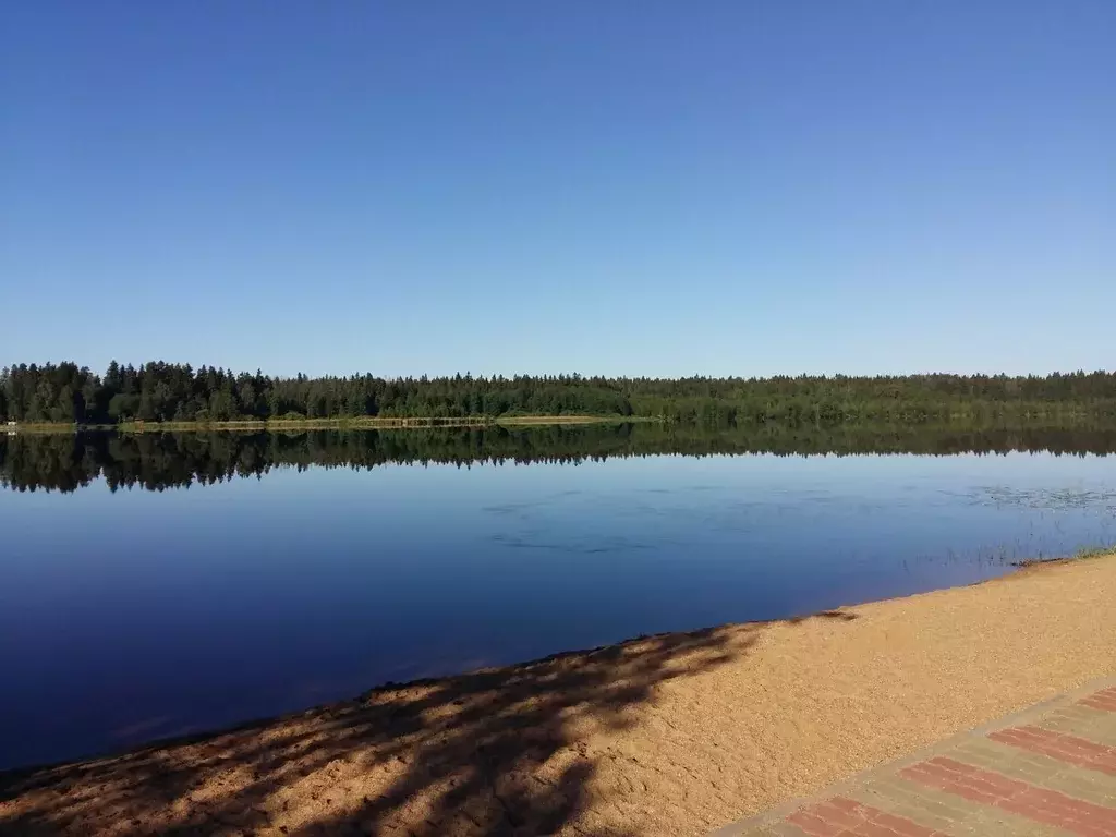 Участок в Московская область, Клин городской округ, Заповедное Озеро ... - Фото 2