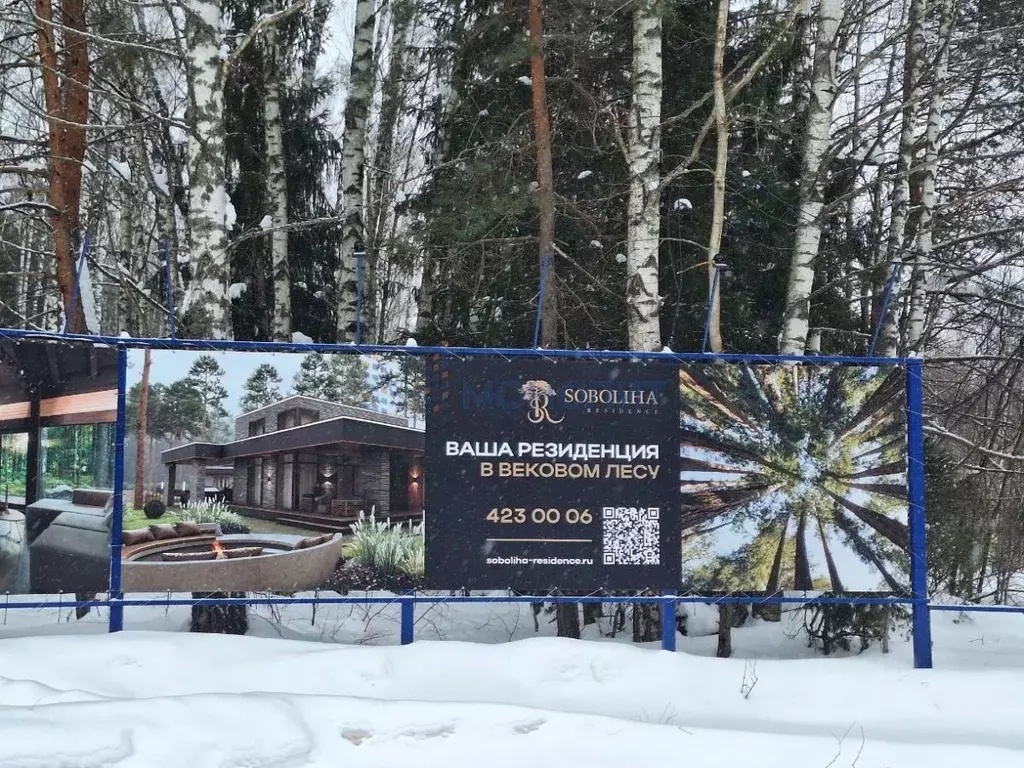 Участок в Нижегородская область, Городецкий муниципальный округ, д. ... - Фото 2