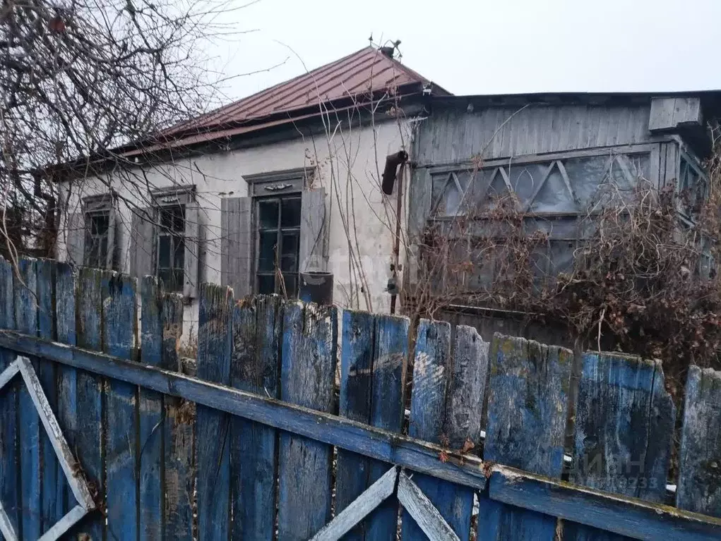 Дом в Белгородская область, Вейделевский район, с. Закутское ул. ... - Фото 0