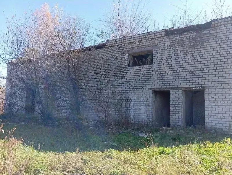 Помещение свободного назначения в Амурская область, Архаринский ... - Фото 2