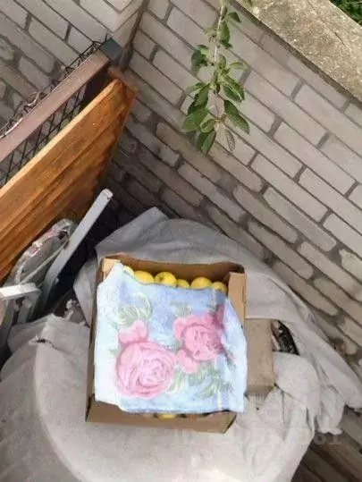 Участок в Белгородская область, Старооскольский городской округ, с. ... - Фото 1